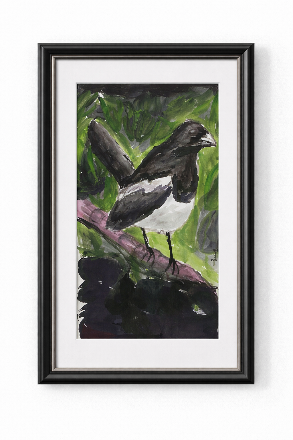 Oriental Magpie Robin 